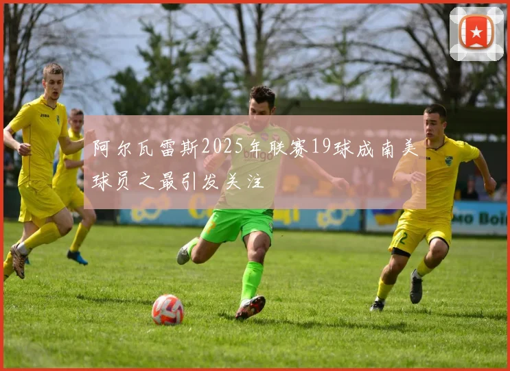 阿尔瓦雷斯2025年联赛19球成南美球员之最引发关注